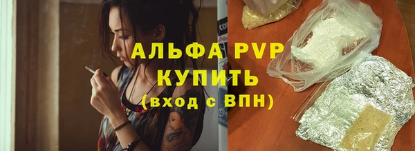 СК Новозыбков