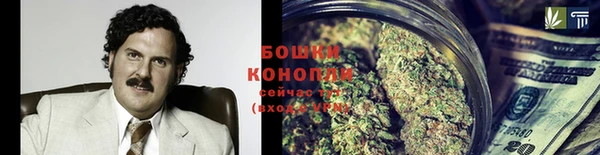 молекула духа Новодвинск