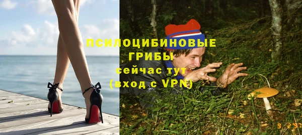 а пвп мука Болотное
