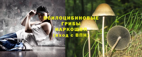 СК Новозыбков
