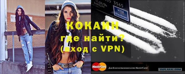СК Новозыбков
