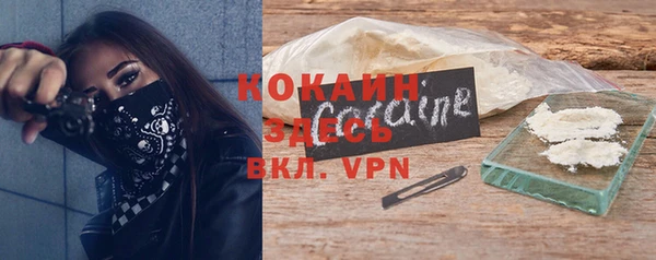 СК Новозыбков