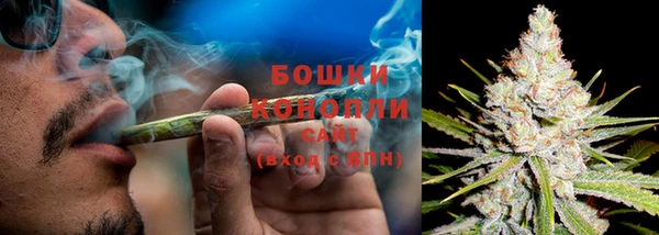 СК Новозыбков