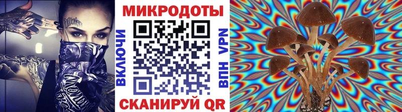 Псилоцибиновые грибы мицелий наркошоп гидра Трёхгорный